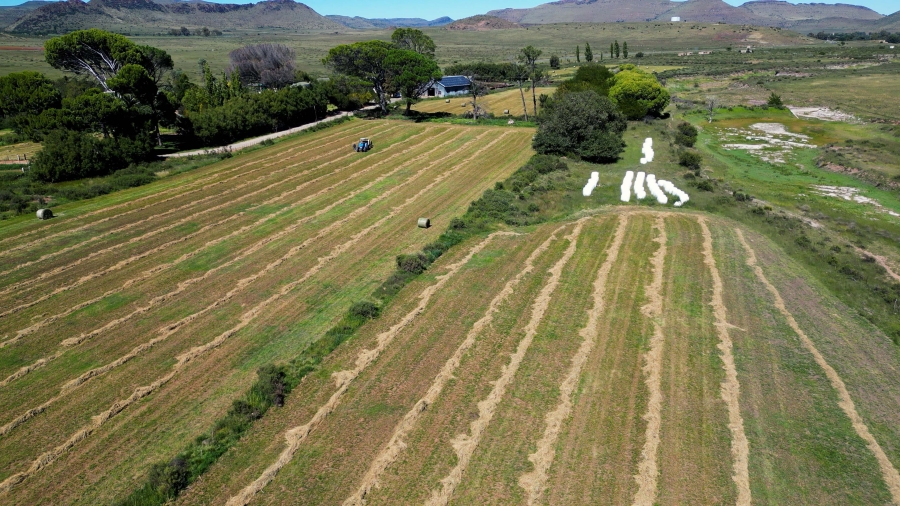 5 Bedroom Property for Sale in Steynsburg Rural Eastern Cape